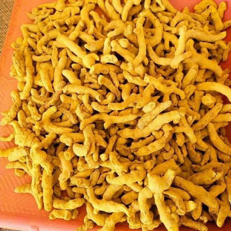 Haldar Mula (હળદર મૂળો)
