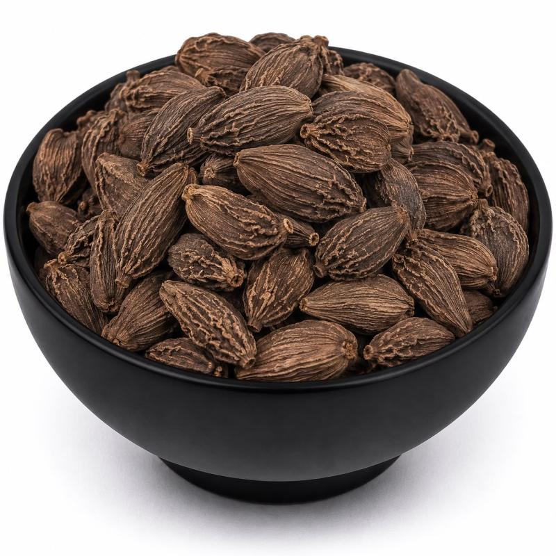 Elacha (એલચા)