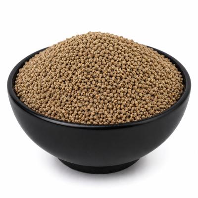 Ajma (અજમા)